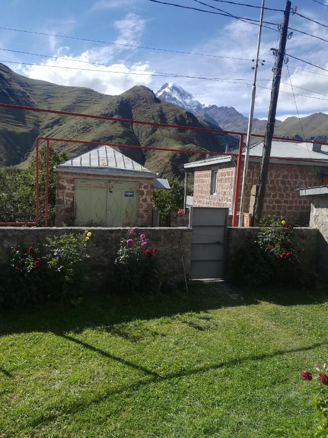 Guest House Lela Rezo Kazbegi Dış mekan fotoğraf
