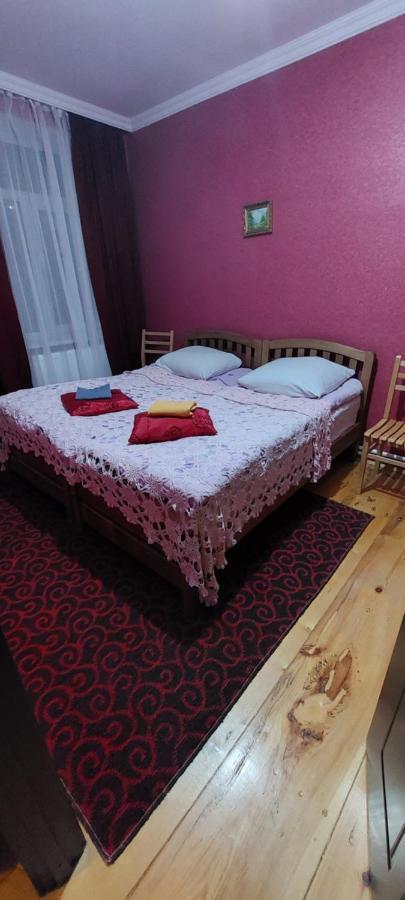 Guest House Lela Rezo Kazbegi Dış mekan fotoğraf